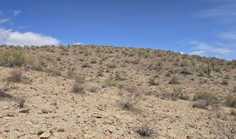 10 Acres 121-02-020, Yucca, AZ 86438