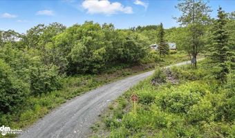 45161 Glenn Hwy, Chickaloon, AK 99674