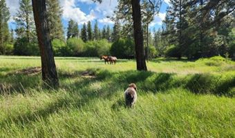 35322 Washoe Rd, Bonner, MT 59823
