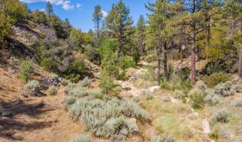 60833 Table Mountain Rd, Mountain Center, CA 92561