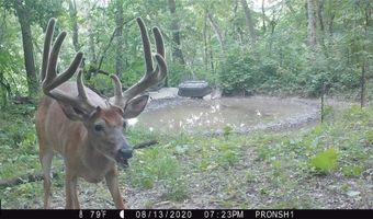 Simons Rd, Alma, WI 54610