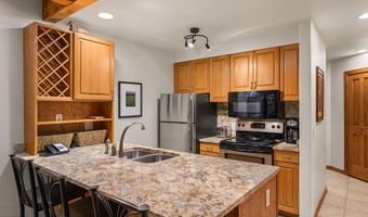 610 S West End St J204, Aspen, CO 81611