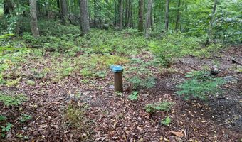 TR D-15 DEER PATH Road, Augusta, WV 26704