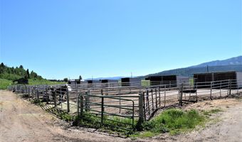1 BUFFALO Dr, Alpine, WY 83128