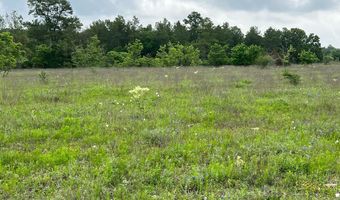 R13945 A0049 J Peterson Tract 11 Acres, Anderson, TX 77830