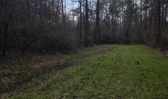 U.S. Highway 51, Bogue Chitto, MS 39629