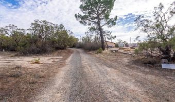 59481 Burnt Valley Rd, Anza, CA 92539