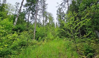 1895 TBD BLUE CREEK ROAD Rd, Addy, WA 99101