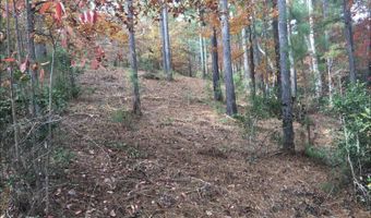 134 Sandy Lake Ln, Blairsville, GA 30512