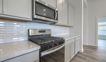 1808 Willowhurst Ln, Anna, TX 75409