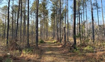 Highway 28, Abbeville, SC 29620