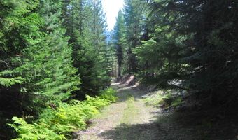 Nna 196 Acres Hwy 95, Bonners Ferry, ID 83805
