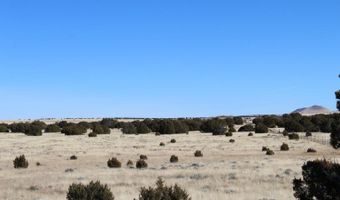 13 County Road 8006, Concho, AZ 85924