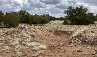 207 ACR 8056 Rd 218, Concho, AZ 85924