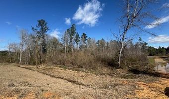 1111 Mount Olive Rd SE, Bogue Chitto, MS 39629