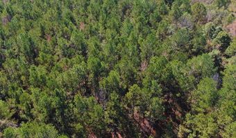 0 Hwy 8, Aberdeen, MS 39730