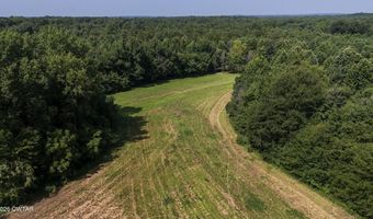 Poplar Springs Road, Atwood, TN 38220