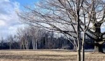 301 N Fourteenth Ave, Alpena, MI 49707