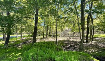 Ev988 Cummings Lane & Stony Mountain Road, Albrightsville, PA 18210