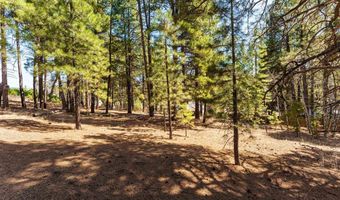 116 Pine Dr, Bayfield, CO 81122