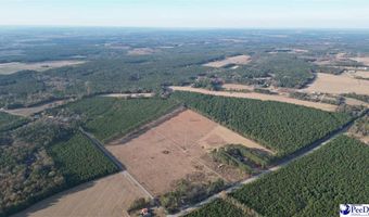 Lot D Hill Rd, Bishopville, SC 29010