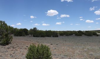 N8190, Concho, AZ 85924