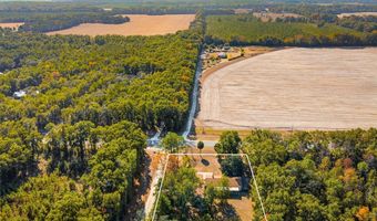 3780 County Road 340, Bell, FL 32619