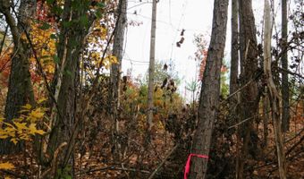 RIDGE RD lot 1, Arvonia, VA 23004