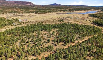 N2147, Alpine, AZ 85920