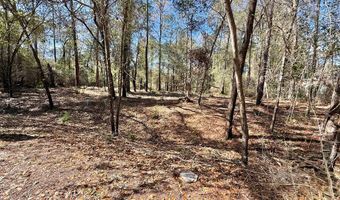Knollwood lot 4C, Bainbridge, GA 39819