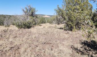 3214 N Kerren Lp, Ash Fork, AZ 86320