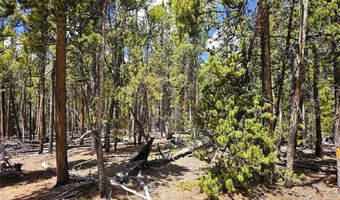 PCS # 10594 Looney Lane lot 0, Alma, CO 80420