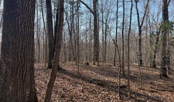 PAYNES POND RD, Arvonia, VA 23004
