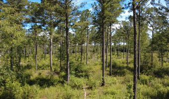 0 S County Road 33, Ashford, AL 36312