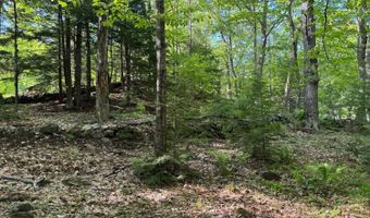 Peaked Hill Road, Bristol, NH 03222