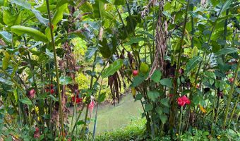 6546- D KUAMOO Rd 5, Kapaa, HI 96746