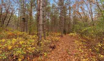 8752 HWY A, Almond, WI 54909