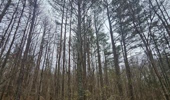 13 Toney Drive, Altoona, AL 35952