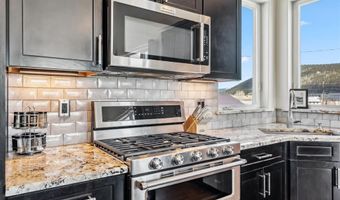 255 FLANNIGAN Cir, Alma, CO 80420