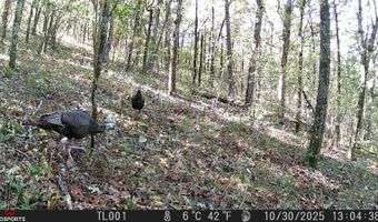 SEC33-TO2N-R21E KTrail, Albion, OK 74521