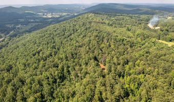 50 Acres Scenic Hwy, Attalla, AL 35954