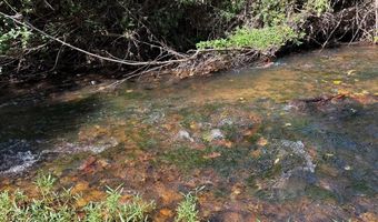 0 Coleman Mountain Rd, Appomattox, VA 24522