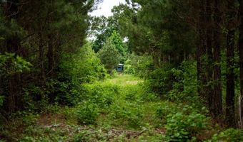 7400 Amon Hill Rd, Bastrop, LA 71220