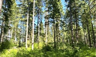 Tunnel Tract Parcel2, Banks, OR 97106