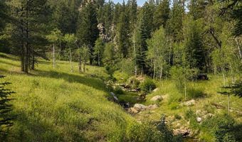 County Road 59, Allenspark, CO 80510