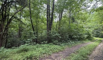 5 Lots Fortunato Dr, Baneberry, TN 37890