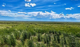 County Road 80, Briggsdale, CO 80611