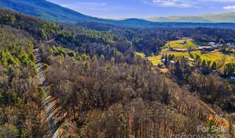 99999 Willow Creek Dr, Asheville, NC 28803