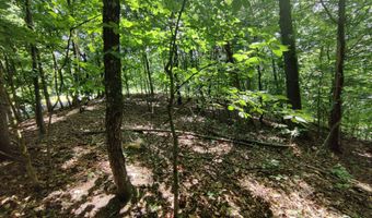 3347 Mountain View Ln, Baneberry, TN 37890