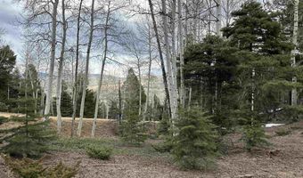 Lots 16 Lot17 Palo Flechado Ridge Road, Angel Fire, NM 87710